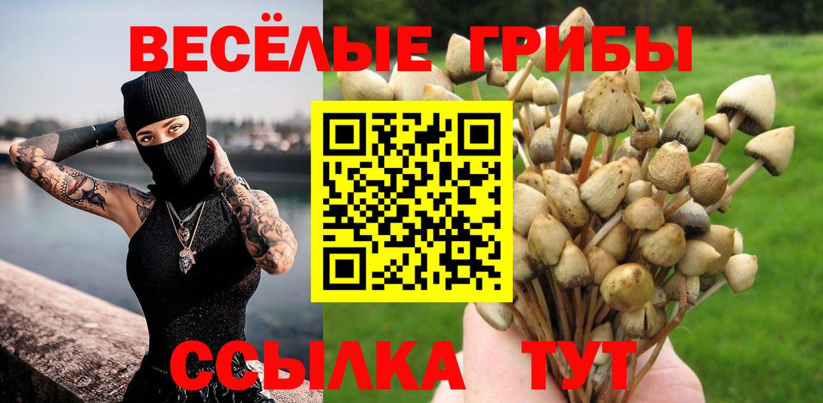 Йошкар-Ола  Псилоцибиновые грибы мухоморы  Галлюциногенные грибы MAGIC MUSHROOMS  Вход с VPN 